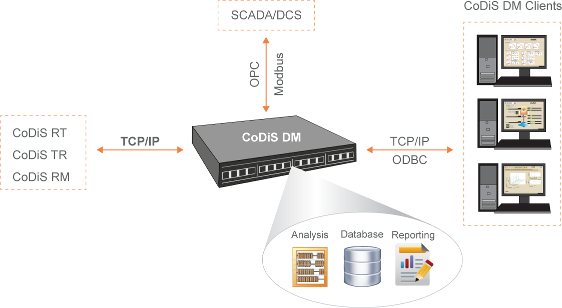 CoDiS DM On-line diagnostic software scheme