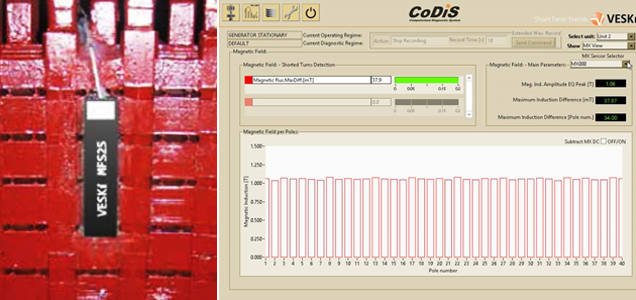 Magnetic field monitoring image